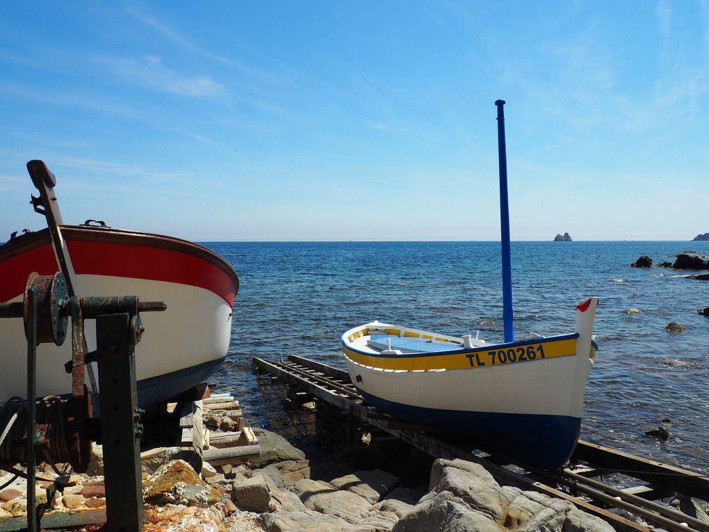 La Seyne:  pointus à St Elme, et à la Verne,