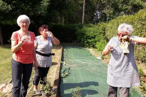 Ils en rêvaient, elles l’ont fait…