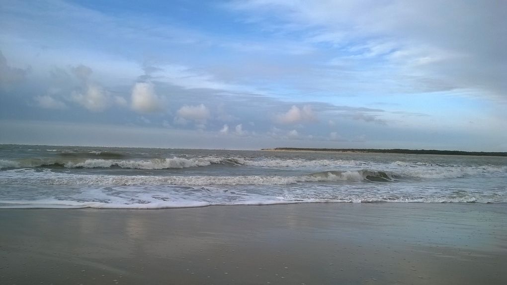 Le vent soufflait fort cet après-midi-là, offrant de jolies vagues. 