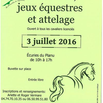 Affiche journée horse balle, jeux équestres et attelage