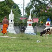Vu au temple (18-04) - Noy et Gilbert en Thaïlande