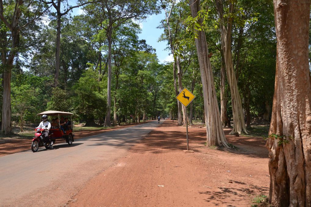 Les temples d'Angkor et ses environs, une des merveilles du Cambodge! Quelques photos du temple de Preah Vihr, à la frontière cambodienne et thaï.