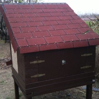 Poulailler: Pose du shingle sur le toit