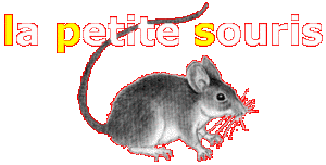 La petite souris