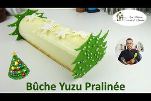 🍋🍰 BÛCHE DE NOËL YUZU PRALINÉE 🍰🍋