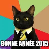 bonne année 2015