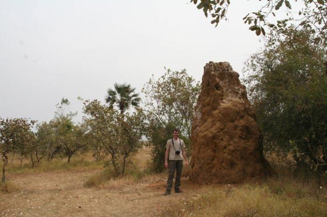 Album - Sine-Saloum-Senegal