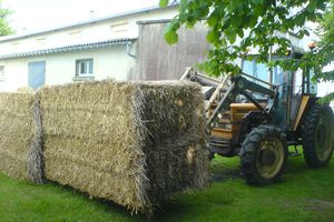 Brocante 2009