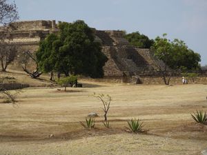 Mexique (2) - (26 mars au 15 avril 2014)