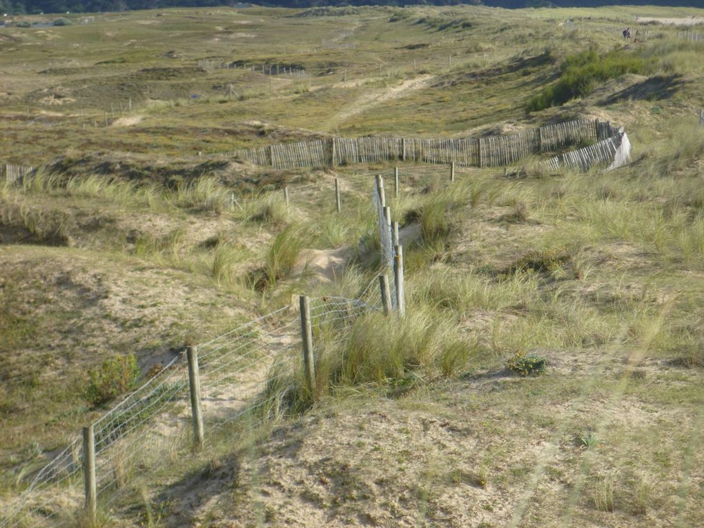 GUERANDE PLAGE