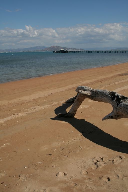 Album - Magnetic-Island