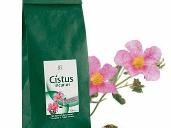 CISTUS INCANUS -LR TEAM FRANKHAIR-