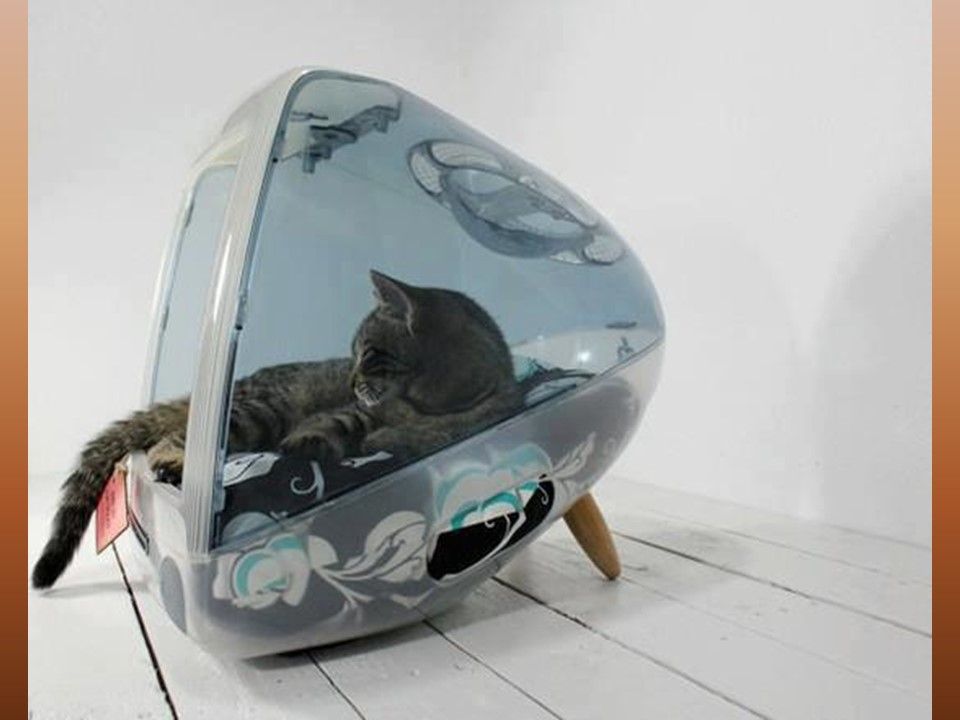 Divers - Ne jetez plus rien - 1