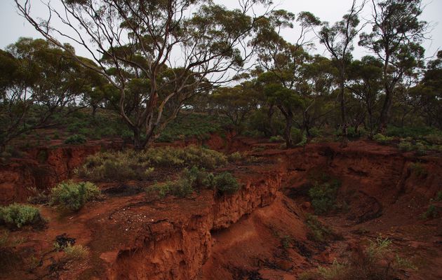 D’ADELAIDE à notre arrivée dans le WESTERN AUSTRALIA