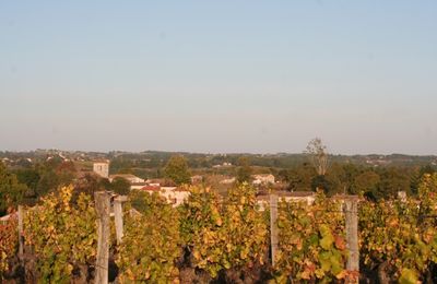 Réunion inter-régionale et impromptue de néo-vignerons