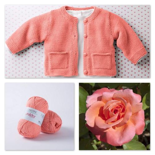Goneryl Dignified Constitute Modele De Tricot Facile Gratuit Pour Bebe Bluecheddarbrie Com