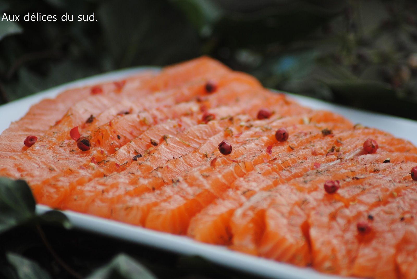 Recette Saumon Gravlax Anne Sophie Pic Saumon gravlax pour l'apéro . - Aux délices du sud .