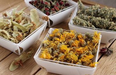 Plantes médicinales, médecine tibétaine, cueillette et thérapeutes 