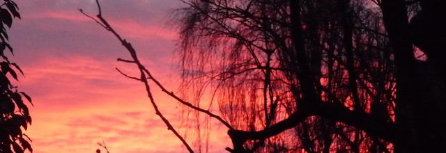 Soleil couchant.