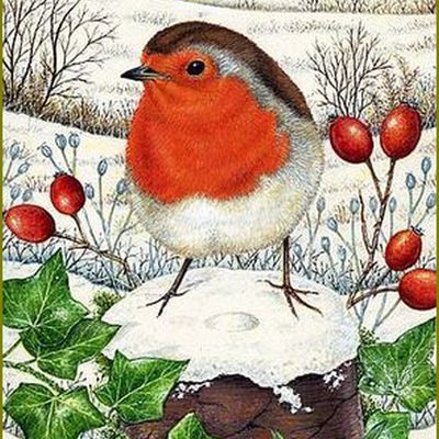 Oiseaux en peinture - Anne Mortimer