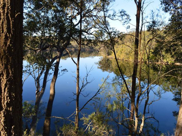 Entre Batemans et Jarvis Bay, délaissez les princes pour les rois (passez de Princes Highway à Kings Highway). Puis, prenez sur la droite The River Road, une petite route de terre très bien entretenue, sans aucun risque pour la voiture de location, qui longe la rivière et parfois même la rencontre... Ha oui, elle est froide!