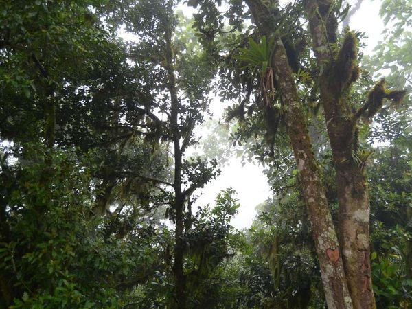 06/11/15 : de Matagalpa à El Espino