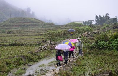 Voyage au bout de la pluie