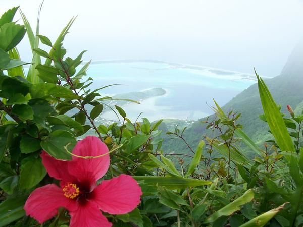 <p>je suis parti accompagné du guide local et de deux couples de nationalité américaine, l'arrivée au sommet : environ 4 h 30 , et descente environ 2 h 30, niveau annoncé par le guide : trés difficile ( je confirme )</p>
<p> </p>