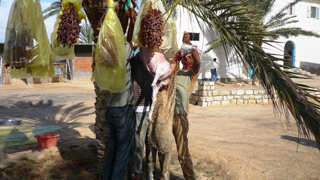 Tour de Tunisie