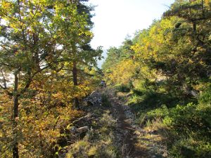 21 octobre 2016 : Endurance Trail des Templiers