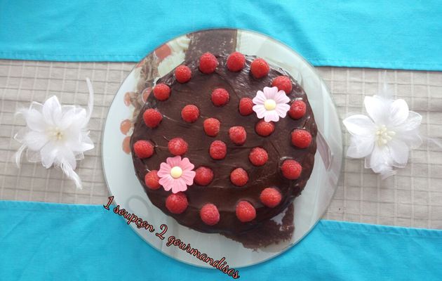 Gâteau au Chocolat et Framboises de Pierre Hermé