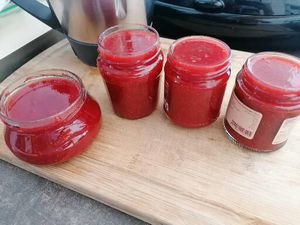 Confiture de fraises (au Thermomix)