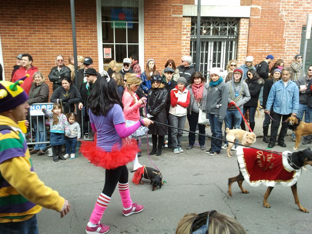 Première parade de notre premier carnaval.