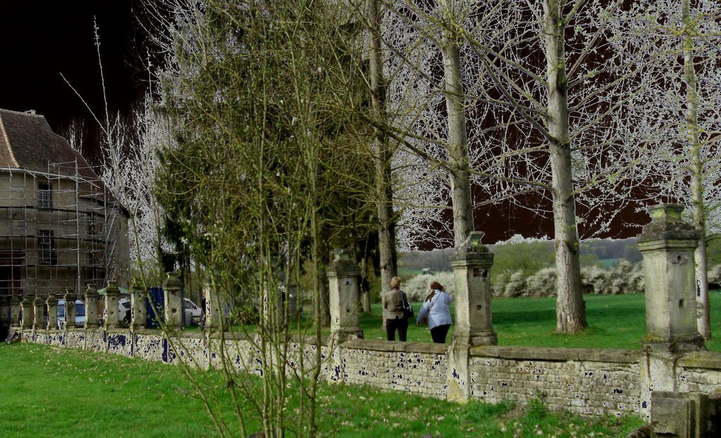 traditionnelle bourse des plantes au château de Freistroff. Ici le 3 avril 2011.