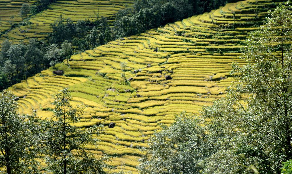 Trekking Peak au Népal : Rolwaling, la &quot;dancing valley&quot; ! 