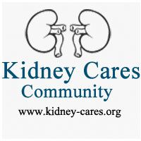 Kidney Disease Treatment - kidneytreatment.overblog.com