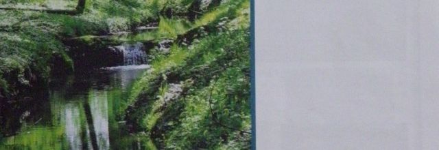 Communauté de communes du pays de Valois : Après la pollution du parc de Géresme, quelles solutions pour restaurer l’étang