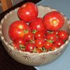 et des tomates maintenant