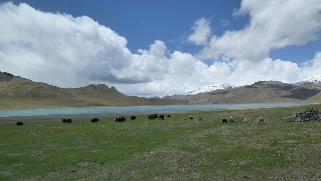 Album - Tibet (17 au 24 mai)