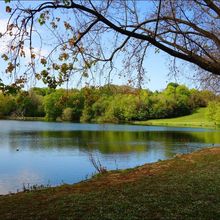 Lac Marion, Biarritz (balade) AA