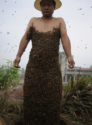 Photo de la semaine: Quelle belle robe !