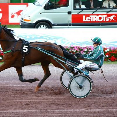 Quinté vendredi à Vincennes : Contrée d'Erable, la course visée