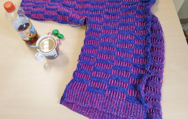 projet tricot de l'année