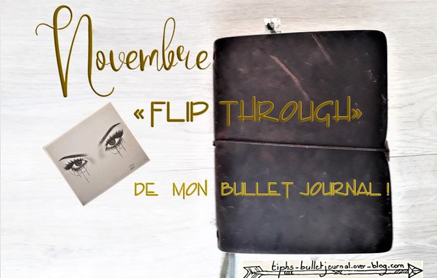 Revue de mon mois de Novembre 2018