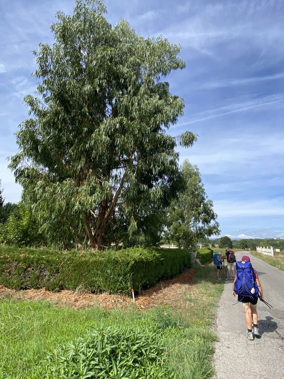 3ème étape : Molinaseca - Cacabelos : 25 Km