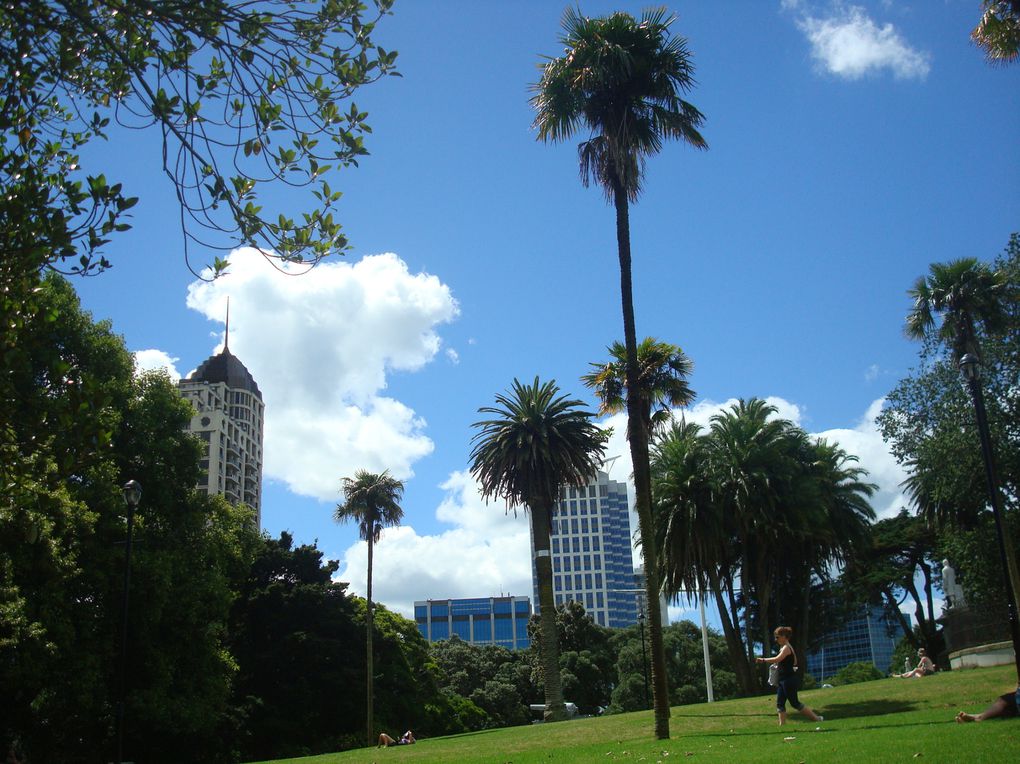 Voici quelques photos d'Auckland, ses parcs et ses buldings