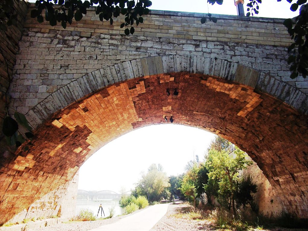 Album - Puentes-de-Piedra-y-de-Santiago--Zaragoza-