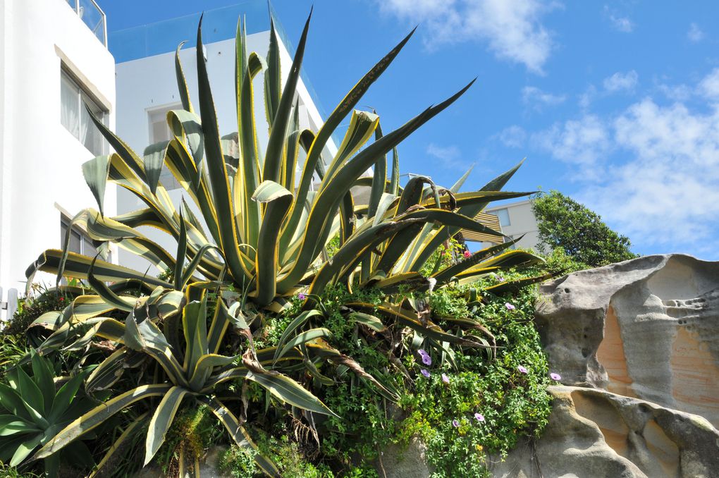 Belle capitale australienne avec une alliance de modernité et de beaux bâtiments anciens, le tout dans un écrin de verdure grâce à un climat exceptionnel.