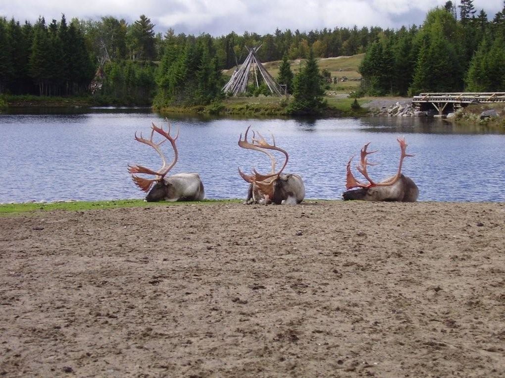 Quelques photos de notre premier voyage au Québec.