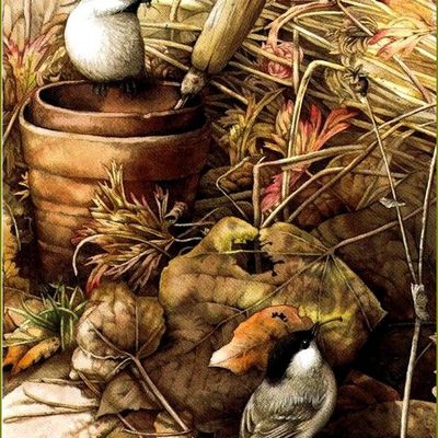 Oiseaux en peinture - Marjolein Bastin
